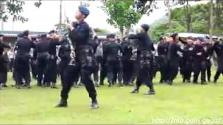 Download lagu Brimob Goyang dumang mp3 Download lagu Brimob Goyang dumang mp3