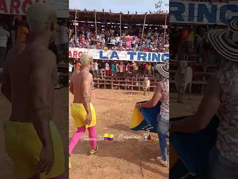 🦸‍♂️ ¡Espectacular volada del Súper Man de las corralejas en Arjona, Bolívar! 🐂🔥 Segundo día