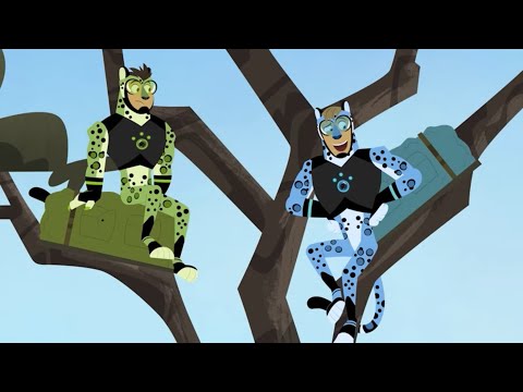Wild Kratts | Stealthazar The Leopard | Full Episode