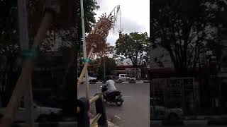 Download lagu (terlambat)janur kuning sdh melengkung dan layu...🤣 mp3