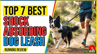 Top 7 best shock absorbing dog leash for running review guid