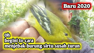 Download lagu CUMA 1 menit , PIKAT BURUNG SIRTU/CIPO || CUMA PAKE MP3 AMPUH mp3