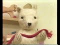 Gamle Bamse Afsnit