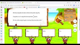 Làm bài thi Violympic vòng 1 lớp 5 năm 2024 - 2025 ( 240 điểm )