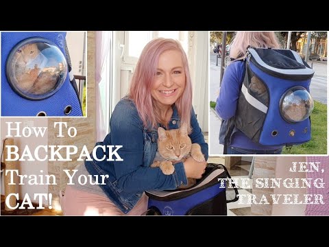 CAT BACKPACK: How to BACKPACK Train Your CAT!