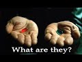The Red Pill Blue Pill Finally Explained MATRIX EXPLAINED