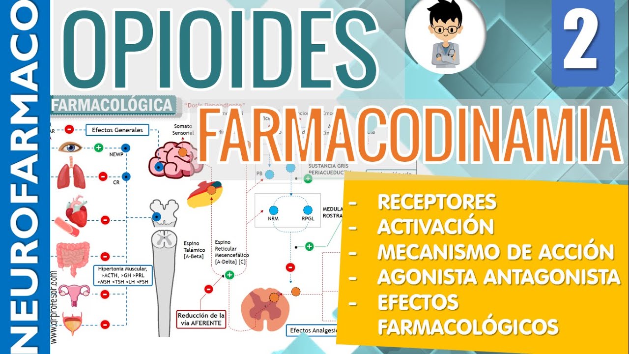 MECANISMO DE ACCIÓN, RECEPTORES OPIOIDES, U, K, D Efectos Farmacológicos, AGONISTA - ANTAGONISTA ||2