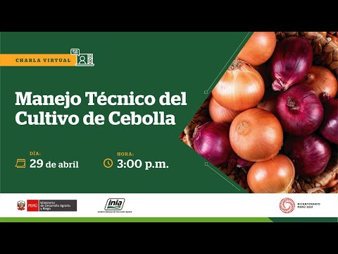 , title : 'Manejo Técnico del Cultivo de Cebolla'