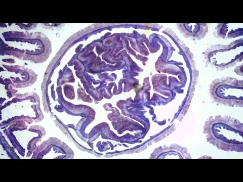 Freaktion - In The Middle Of Nowhere (Official Lyric Video)