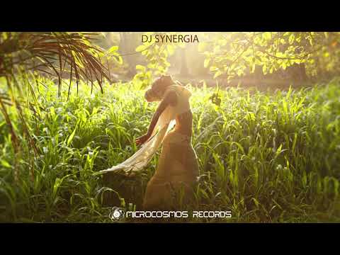 [Chill Space Mix Series 017] DJ Synergia - Atmospheric Vibrations from Microcosmos Records