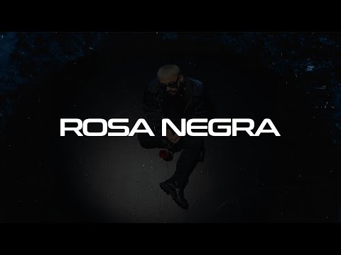 Miniatura de Rosa Negra
