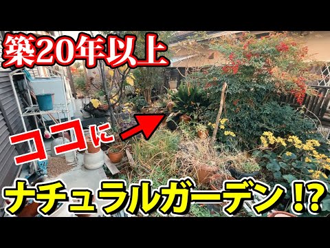 ガーデンダイニングルームを設置する手順は何ですか?テラスのダイニングエリアの装飾アイデア 10 個以上!  庭園