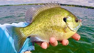 Catching Big Bluegill for Dinner! - Bluegill Fishing Tips!