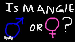What is Mangle's gender | Short Theory