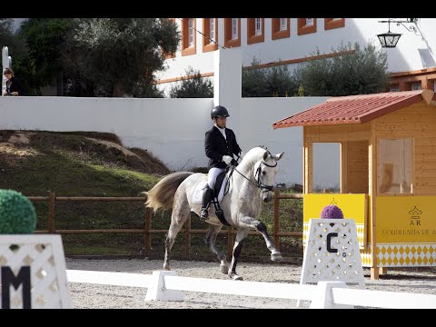 Lizarran PSL - Available semen