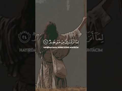 Kasas Sûresi 24. Âyet