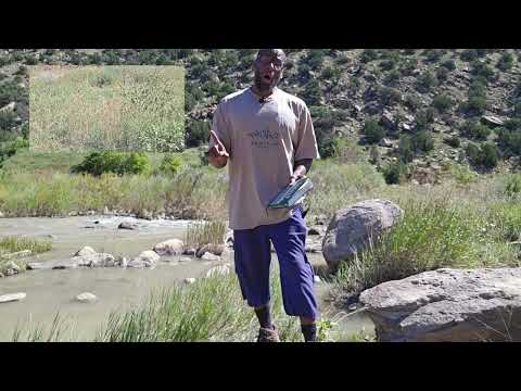 WORSHIP ALLAH AVOID POLYTHEISM! #shirk #tawheed