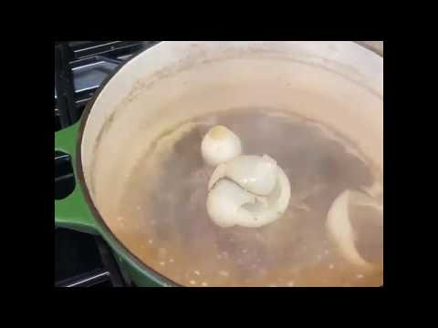 Mexican Shredded Beef