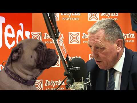 Tak to się robi w Pisie