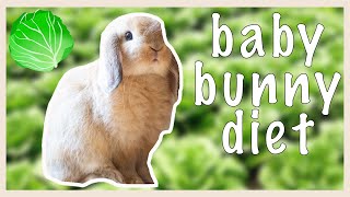 How To Introduce Vegetables To a Bunny