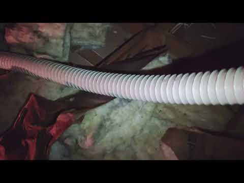 Hole in the Roof Invites Squirrels in the Attic in Montgomery, NJ