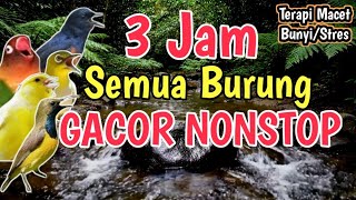 Download lagu BIKIN GACOR NONSTOP‼️ 3 Jam Terapi Burung Stres dan Macet Bunyi  mp3