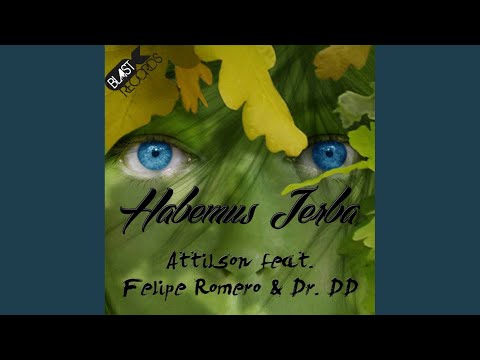 Habemus Jerba (Original Mix)