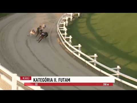 2023.06.16 2. FUTAM - KATEGÓRIA II. FUTAM - S2