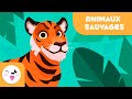 Les animaux sauvages pour les enfants - Vocabulaire pour les enfants