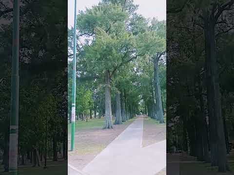 Plaza ministro rivadavia, almirante Brown, Buenos Aires.