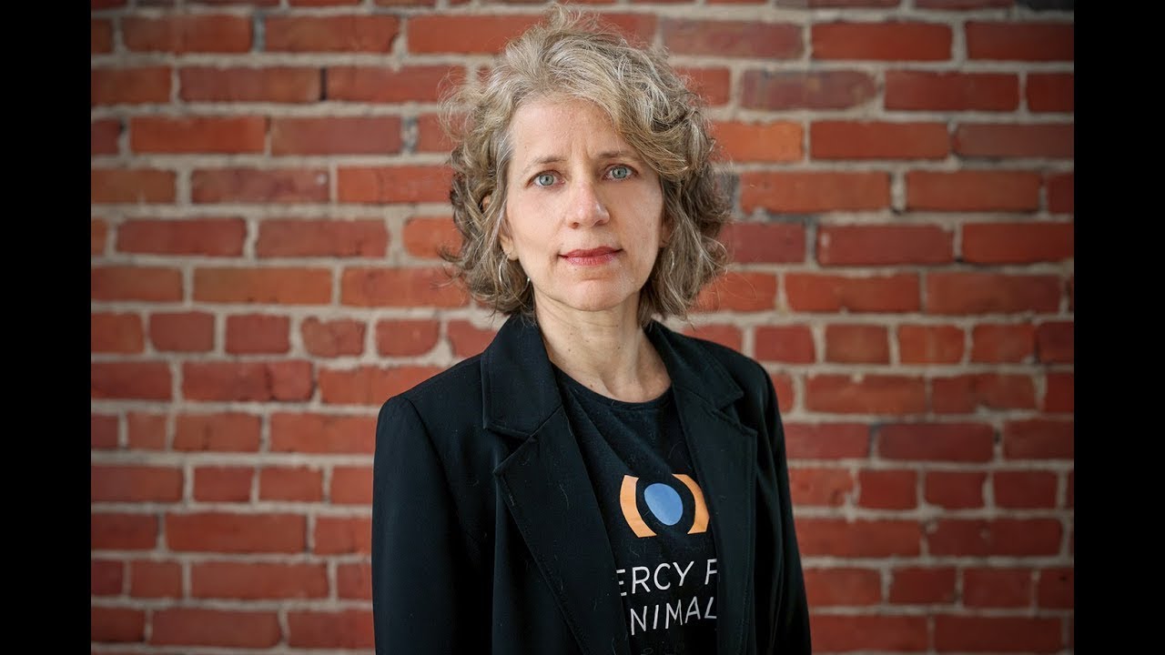 "Não existe galinha feliz"