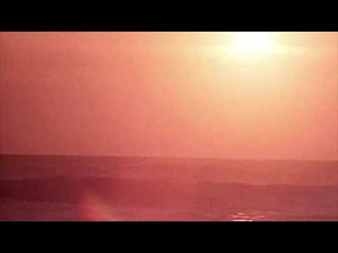 shores [ sophie meiers x vide ]