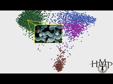 Completing Darwin’s Quest: Discovering the Dark Matter of Biology with Larry Smarr and Rob Knight