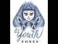 Foxes - Youth (Audio HV) 