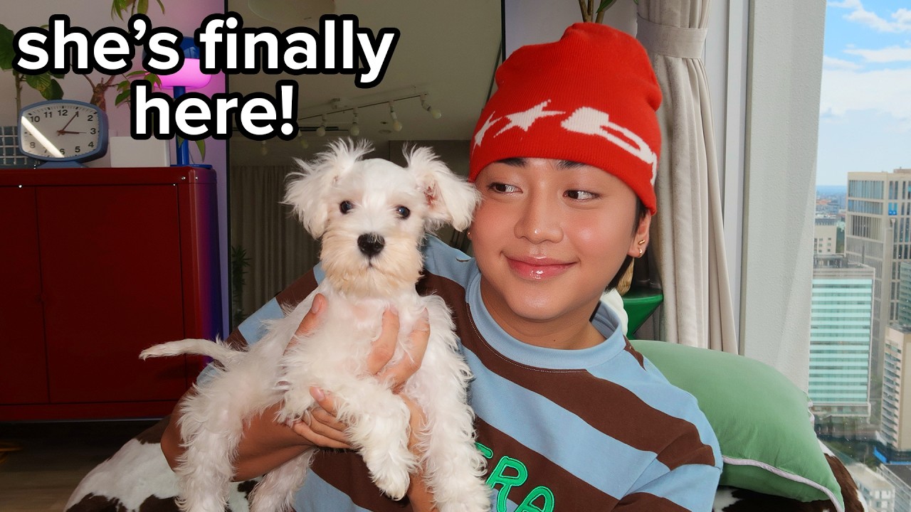 We Adopted a Dog in Japan!