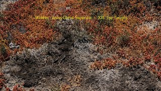 Webber : Jesus Christ Superstar  -  XII. The Temple