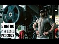 JAN TUREK IFBB PRO - 5 dní do EVLS PRAGUE PRO 2022