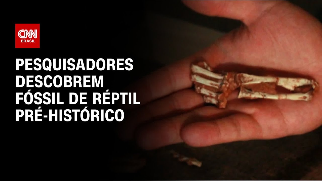 Pesquisadores descobrem fóssil de réptil pré-histórico | CNN PRIME TIME