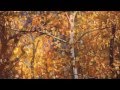 Autumn Leaves ~ Acker Bilk ~ (HD)