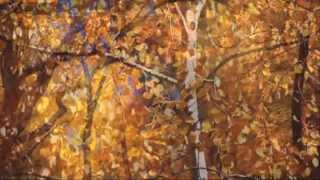 Autumn Leaves ~ Acker Bilk ~ (HD)