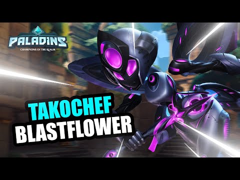 TakoChef Willo Pro Competitive l MASTER l BLASTFLOWER l PALADINS GAMEPLAY
