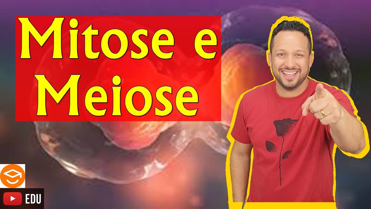 Mitose e Meiose - Principais diferenças - Citologia - Biologia com o Tubarão