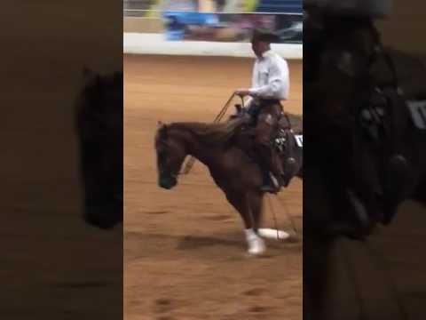 Shiny Chexy Chic and Austin Roush