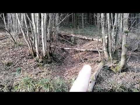 Altbergbau: Schrambach ehem. Meierhofstollen 17 verstürzt