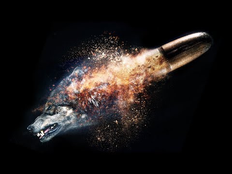 BÖRÜ | Ana Fragman