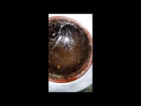 Destilacija Rakije od Paprike