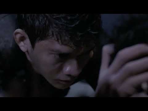 «THE RAID» (music video)