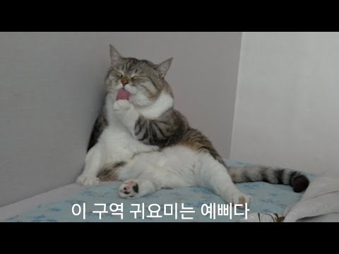 이 구역 귀요미는 맹수다