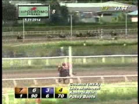 5TA CARRERA SABADO 31 DE MAYO DE 2014