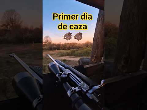 Cazando en Río Negro: Día 1 en Santa Celestina